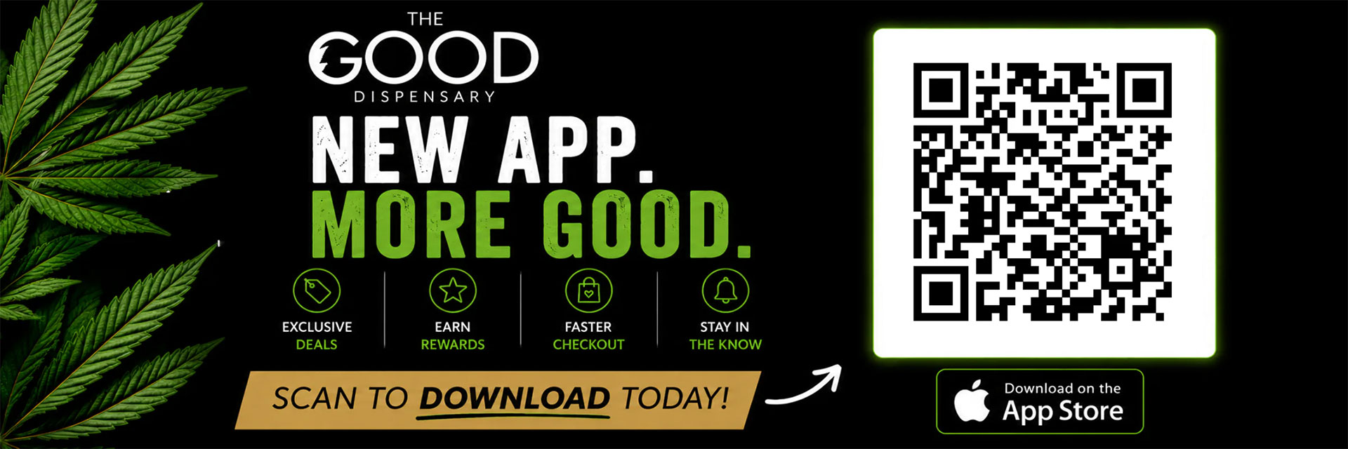 download the app